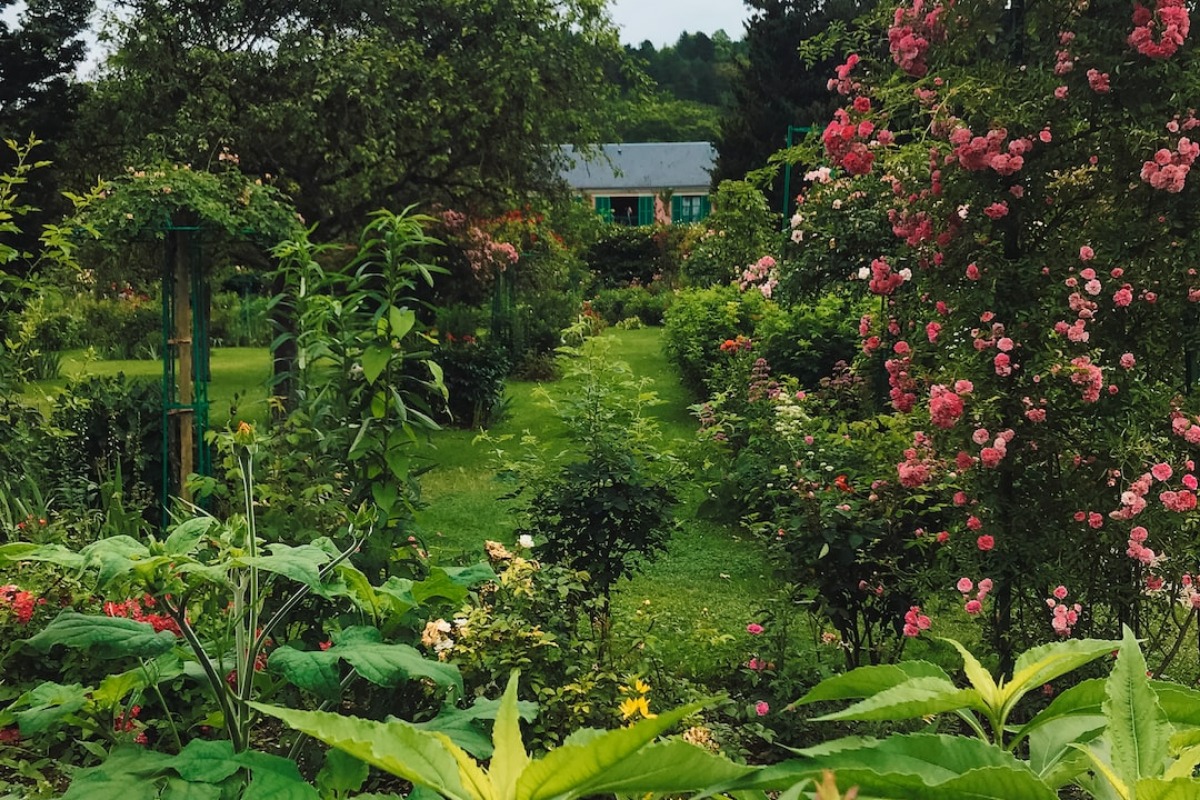 Titelbild zu „Mythen rund um den Garten und was wirklich dran ist“